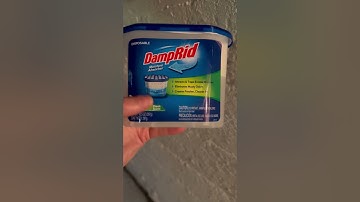 Discover the Easy Basement Moisture Solution with DampRid