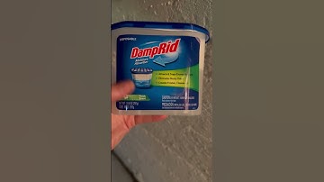 Discover the Easy Basement Moisture Solution with DampRid
