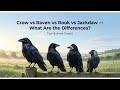 They all look black, they’re all super smart, What Are the Differences?