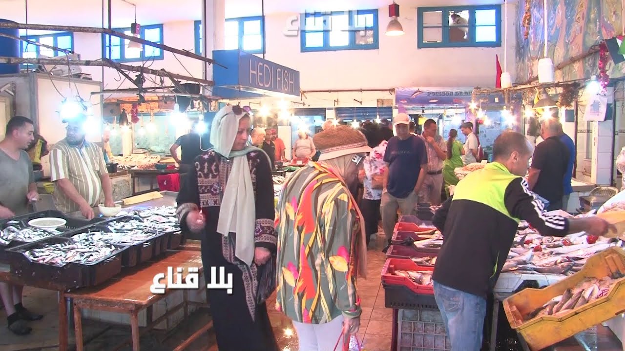 حوت بنزرت..السلعة خيرات ربي من الكروفات للمنكوس والكالامار..الأسعار في المتناول وتخفيض بعشرة دينارات