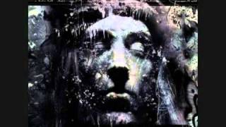 Fields of the Nephilim - She