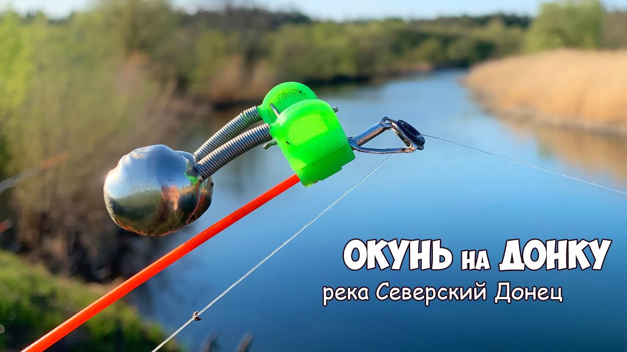 ЛОВЛЯ ДОНКОЙ на РЕКЕ!!! РЫБАЛКА с ОТВОДНЫМ ПОВОДКОМ на реке Северский Донец