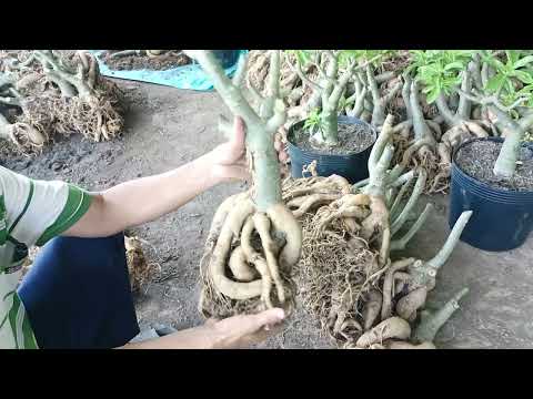         16 10 2022  0792159127