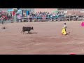 torero peruano vs  boliviano en desaguadero por las fiestas patrias