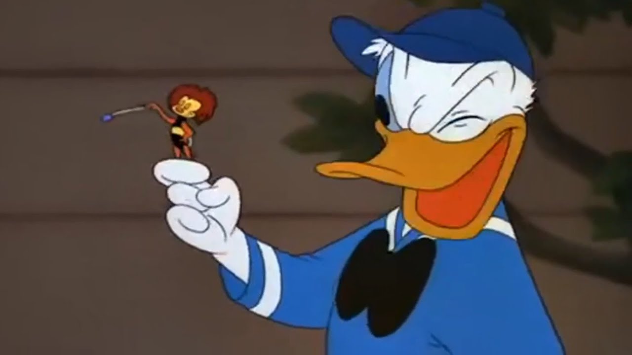 Slide Donald slide ️ Classic Cartoon Disney for kids - YouTube