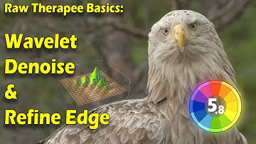 Raw Therapee Basics: High ISO Noise Reduction Using Wavelet Levels.