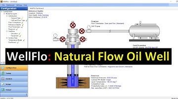 WellFlo 5: Natural Flow Oil Well with Productivity Index