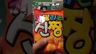 김하오의 여행 스토리ㅡ세종시 해밀마을 1단지 길고양이 밤 11시 점거농성(feat. 못말리는 신짱)