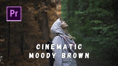 How To Create Moody Brown\Yellow Effect In Just A Minute | Adobe Premiere Pro