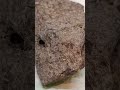 Desert Fossil Coral | The Story Was on the Outside