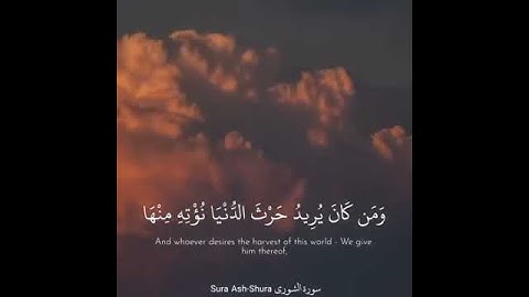 سورة الشورى آية 19-20| يرزق من يشاء ❤️