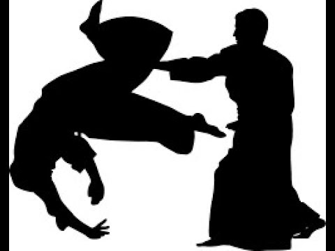 Aikido vs Aikido Randori (Рандори)