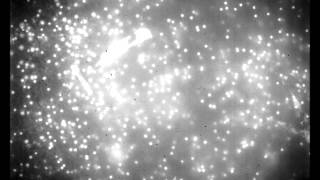 SG 130722 dual space imaging broader view