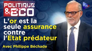 Achat d'or avant le krach monétaire : mode d'emploi  Politique & Eco n°436 avec Philippe Béchade