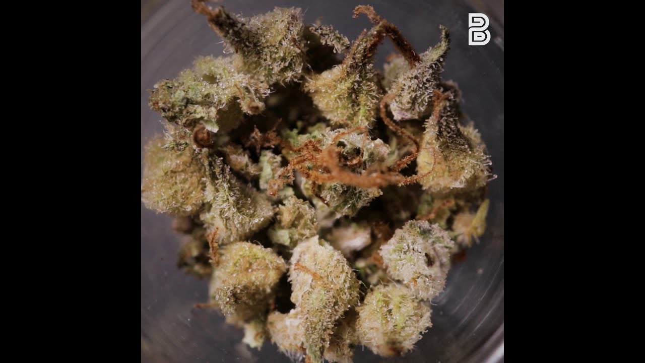 Burning Cannabis Up Close | Budsbie Burns (Ep.16)