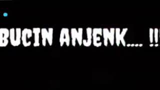 Story Whatsapp Lucu Bucin Anjenk...