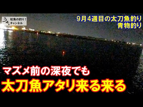 マズメ前でもアタリ来る来る！ＳＫ太刀魚、Ｋ人工島で青物。9月4週目の太刀魚釣り、青物釣り。