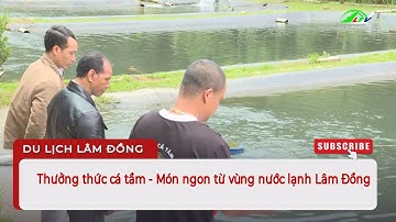 Thưởng thức cá tầm -  Món ngon từ vùng nước lạnh Lâm Đồng I Lâm Đồng TV