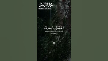 ما تيسر من #سورة_الزمر ||حالات واتس قرآن ||القارئ#ياسر_الدوسري