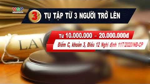 Hướng dẫn chỉ thị số 06 ct-ttg năm 2024