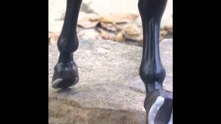 This Is So Weird Behind The Scenes Of Tlov