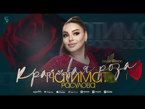 Патимат Расулова - Красивая роза (Новинка 2022) Cover version