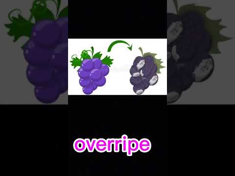 حرش بايت صفات لوصف الطعام