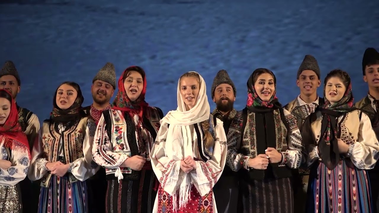 Tulcea   A cui sunt aceste curti