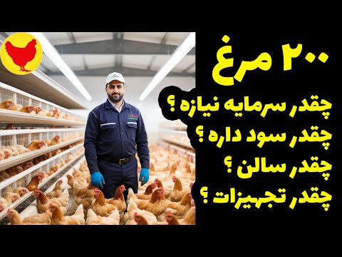 پرورش 200 مرغ تخمگذار چقدر سرمایه نیازه چقدر سود داره چقدر سالن چقدر تجهیزات