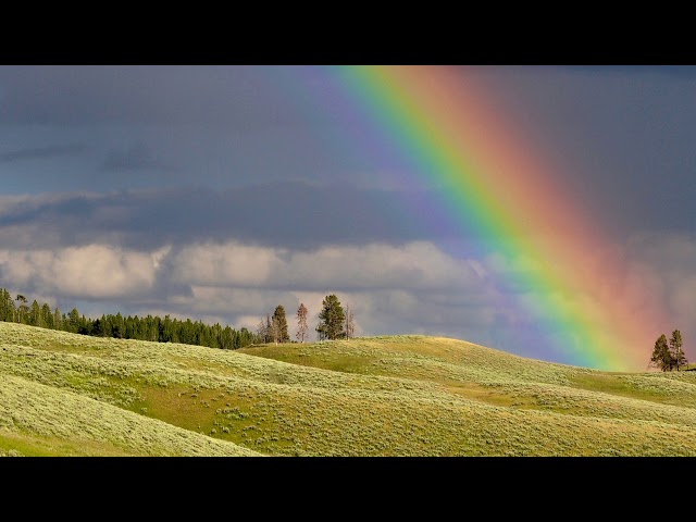 虹の彼方に Over the Rainbow オルゴール - YouTube