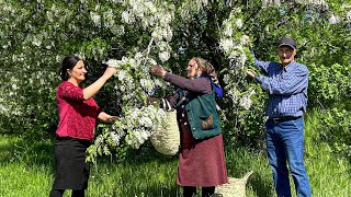 We collected Acacia from all over the Village to prepare a Floral Morse! Tea party with Family