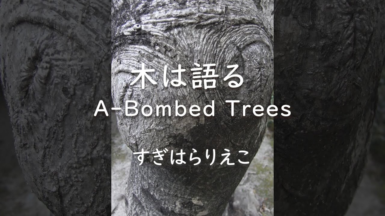 木は語る A-Bombed Trees -【第6回 日本写真絵本大賞】金賞 受賞作品