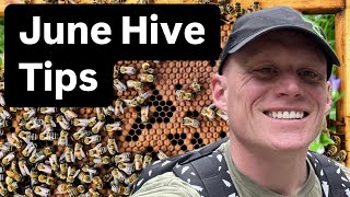 June Hive Inspection: 5 Things Every Beekeeper Should Check (Before It’s Too Late)
