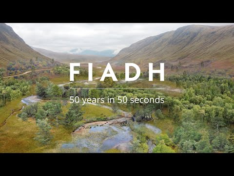 A youtube video of an animation about deer population