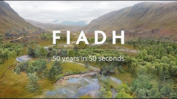 50 Years in 50 Seconds
