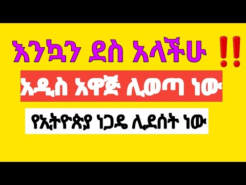 ቪዲዮ: ባዶ ፕሮጀክት፣ ባዶ፣ ዲስክ ነው።