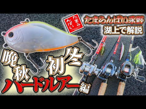 ルアー・フライ hide HUペラー248 HIDEUP ハイドアップ