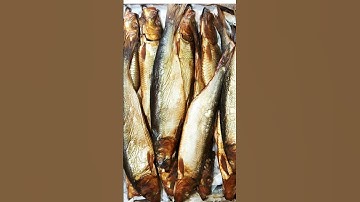 3 loại cá bổ dưỡng cho tim mạch và xương khớp #shorts #suckhoe #buicamgiang #songkhoe #songkhoe247