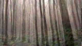 Dark Utopia - Last Fall