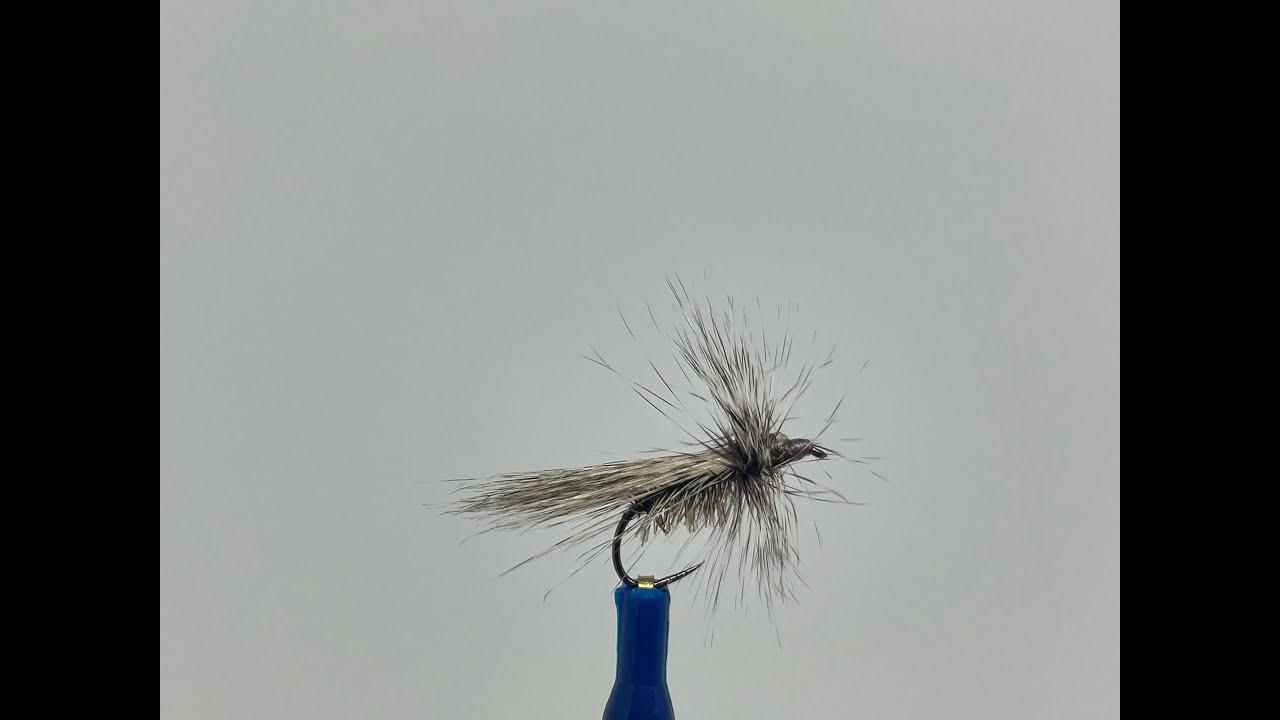 Fly tying con Osvaldo Gilli, sedge