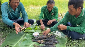 Cơm Gói Lá Lục Bình Ăn Với Cá Nướng Chấm Muối Ớt Và Vài Lá Rau Dại.Góc Làng Quê TV151