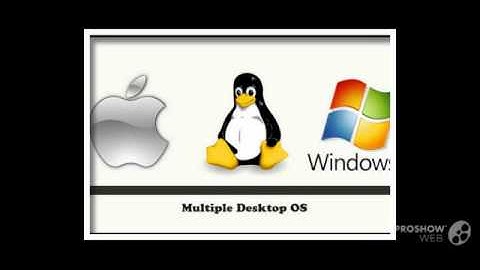 Cross Browser Testing