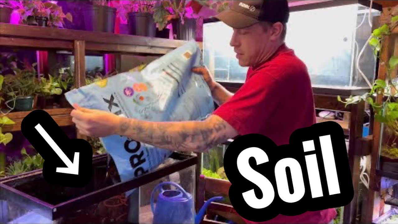 Setup Aquarium Soil with Sand On Top YouTube