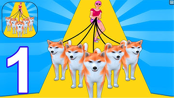 Dog Whisperer 3D - Gameplay Part 1 - All Levels 1-14 (Android, iOS)