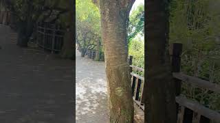 달맞이언덕 영상