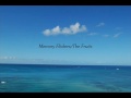 Memory Flickers/The Fruits