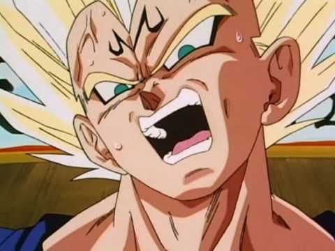 DBZ - In The End (Tribute to Vegeta)
