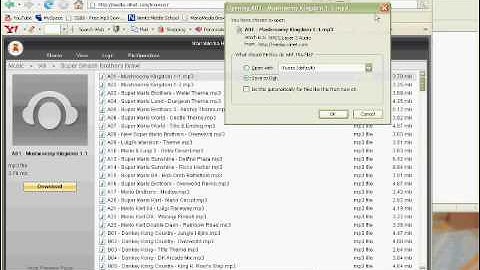 Where to download SSBB Music NOT IN TORRENT OR ZIP FILE!!!