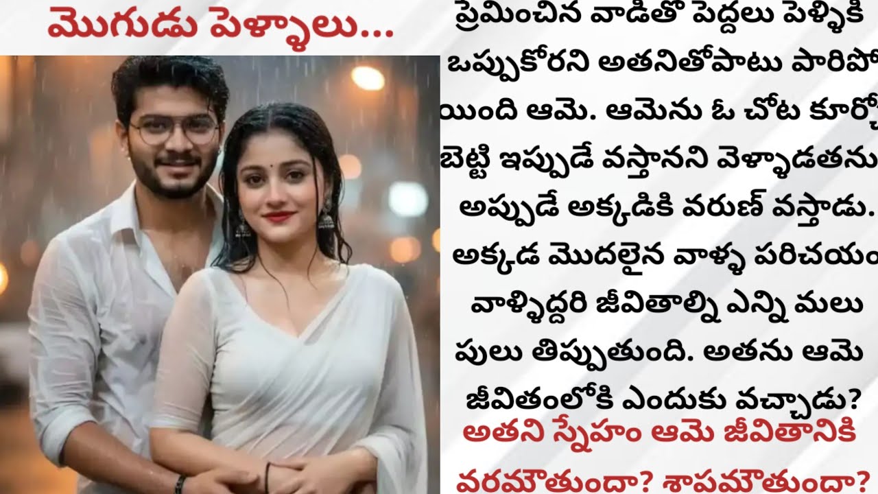 మొగుడు పెళ్ళాలు...