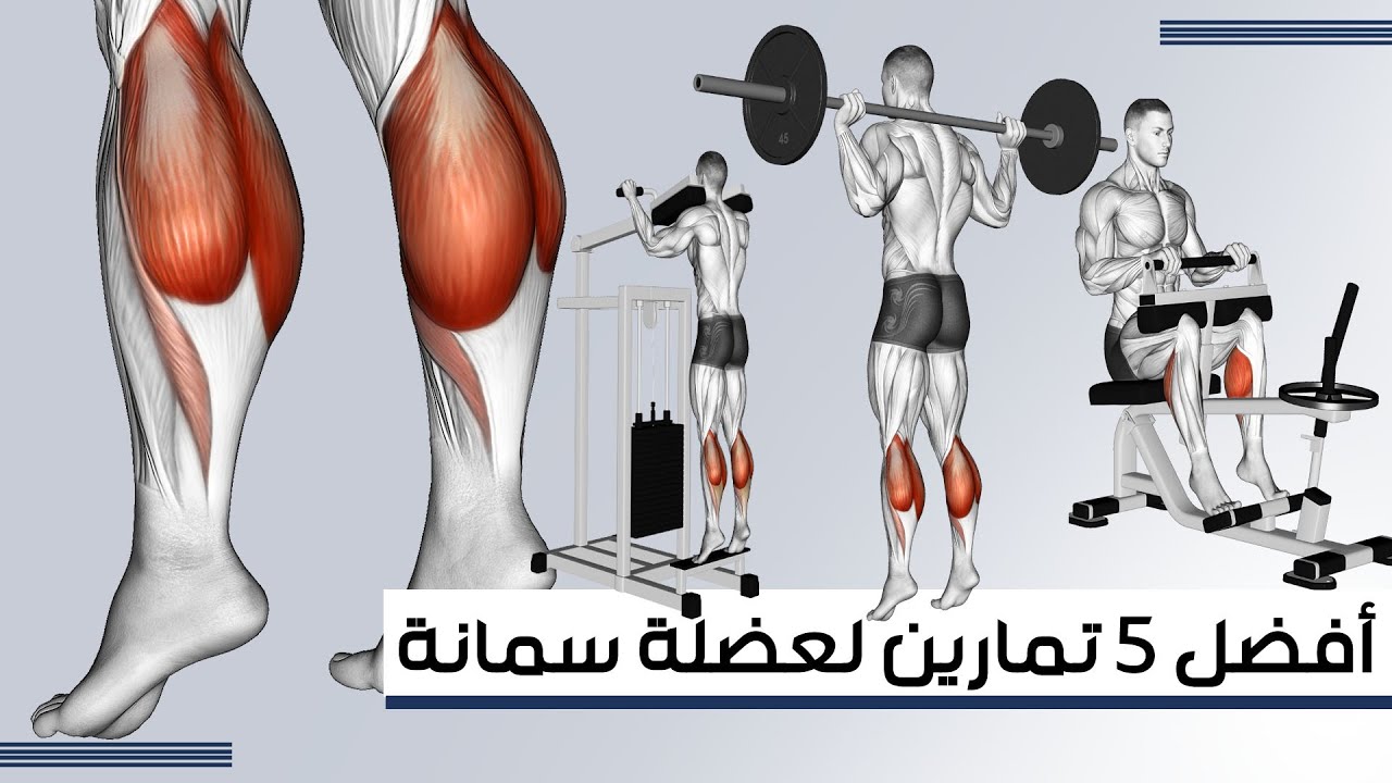 أفضل 5 تمارين عضلة السمانة / التمارين الأساسية | Top 5 calf exercises ...
